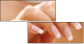 12285447