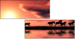 15223082
