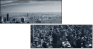 15231738