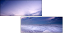 1556608