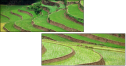 15713254