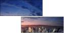 16069076