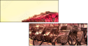 16482006