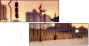 16482076