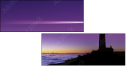 16699558