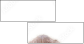17243414