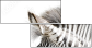 17246984