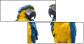 18738718