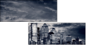 19592071