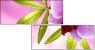 20055851