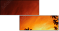 20708520