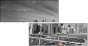 22043006