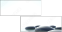 24755998