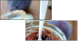26311404