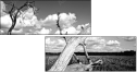 26523822