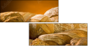 2788091