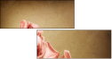 29543249