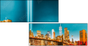 298270136