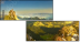 298439100