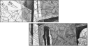 31753074