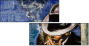 31863775