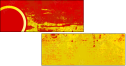 32019447