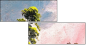 32752739