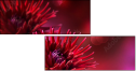 34304958