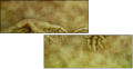 35198447