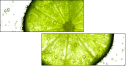 36604434