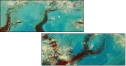 39414869