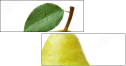 42343029