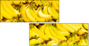 43501685