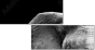 46583459