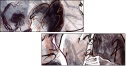 46957513