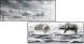 49167138