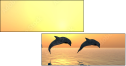 51168696
