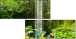51933543
