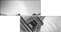 52165394