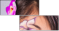 52845719
