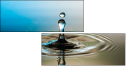 53058464