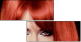 53895869