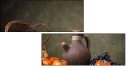 57583007