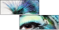 58274972