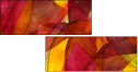 58509774