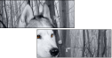 60177878