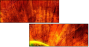 6550561