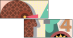 66406196