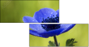 6756687