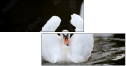 71193352